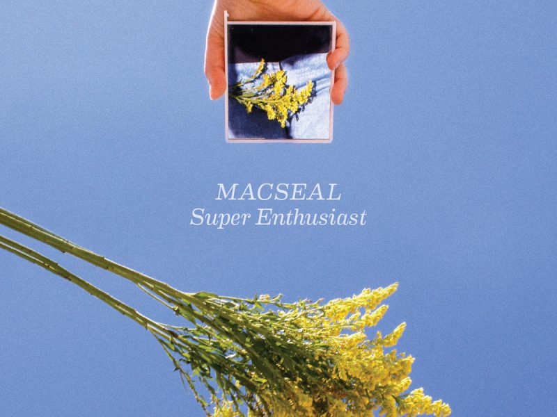 Macseal super enthusiast cover