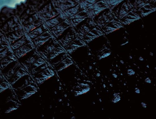 it calls me by name ep wage war